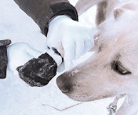 Make your gloves energy efficient