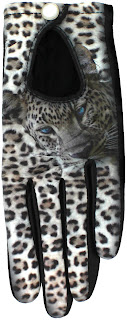 Introducing ICON Gloves