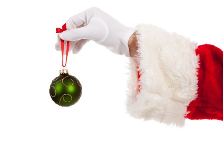 Santa Clause Gloves